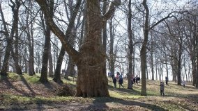 Magia pałacu w Zakrzewie - zdjęcie 21