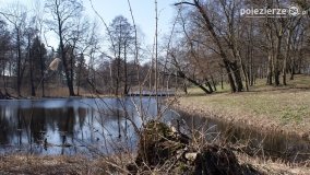 Magia pałacu w Zakrzewie - zdjęcie 19