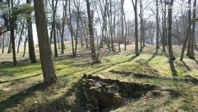 Magia pałacu w Zakrzewie - zdjęcie 17