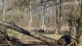 Magia pałacu w Zakrzewie - zdjęcie 15