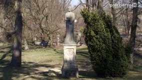 Magia pałacu w Zakrzewie - zdjęcie 14