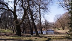 Magia pałacu w Zakrzewie - zdjęcie 8