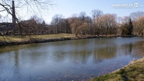 Magia pałacu w Zakrzewie - zdjęcie 4