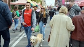 Jarmark Świętowojciechowy odwiedzają tłumy gnieźnian i turystów - zdjęcie 13