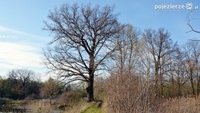 Powróćmy na jeziora... - zdjęcie 36