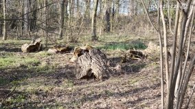 Powróćmy na jeziora... - zdjęcie 27