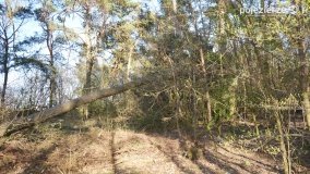 Powróćmy na jeziora... - zdjęcie 22