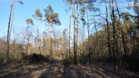 Powróćmy na jeziora... - zdjęcie 20