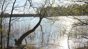 Powróćmy na jeziora... - zdjęcie 17