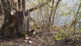 Powróćmy na jeziora... - zdjęcie 16