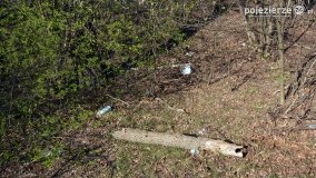 Powróćmy na jeziora... - zdjęcie 12