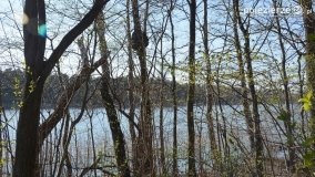 Powróćmy na jeziora... - zdjęcie 9