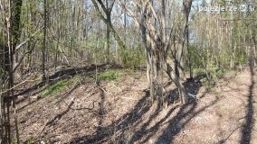 Powróćmy na jeziora... - zdjęcie 8