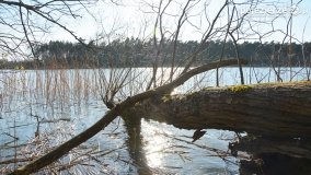 Powróćmy na jeziora... - zdjęcie 7