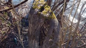 Powróćmy na jeziora... - zdjęcie 6