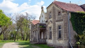 Zwiedzali Popowo Ignacewo śladami braci Saskowskich - zdjęcie 95