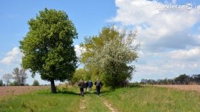 Zwiedzali Popowo Ignacewo śladami braci Saskowskich - zdjęcie 64