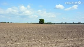 Zwiedzali Popowo Ignacewo śladami braci Saskowskich - zdjęcie 50