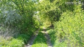 Zwiedzali Popowo Ignacewo śladami braci Saskowskich - zdjęcie 38