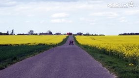 Rzepakowe pola Pojezierza Gnieźnieńskiego - zdjęcie 24