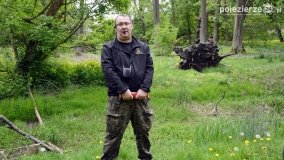 Pałac w Zakrzewie rozkwita w maju! - zdjęcie 13