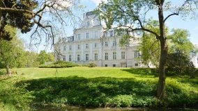 Pałac w Zakrzewie – baśniowe miejsce w Wielkopolsce - zdjęcie 17