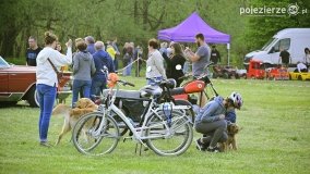 Swarzędz stolicą pojazdów zabytkowych! - zdjęcie 149