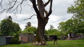 Niezapomniane dni! „Weekend z historią” w pałacu w Zakrzewie! - zdjęcie 33