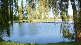 Dwór w Rybieńcu! - zdjęcie 7