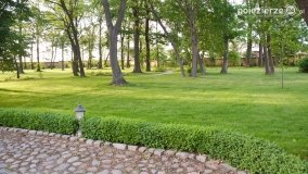 Dwór w Rybieńcu! - zdjęcie 5