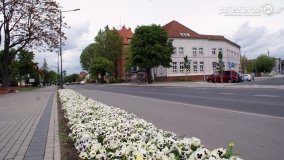 „Kapsuła czasu”, czyli ulica Kościuszki w Wągrowcu - zdjęcie 9