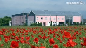 Czerwień maków zwiastuje lato... - zdjęcie 24