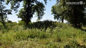 Poznali skarby i tajemnice Zdziechowy - zdjęcie 52