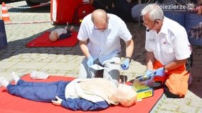 „Strefa Bezpieczeństwa Compensy” na gnieźnieńskim Rynku - zdjęcie 93