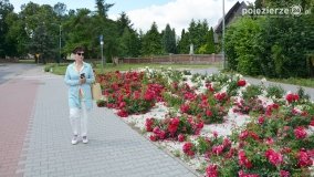 Poznali sekrety kościoła i pałacu w Niechanowie - zdjęcie 45