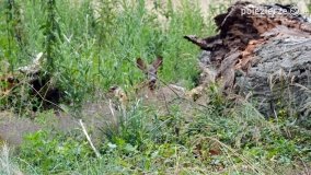 Drugi „Weekend z historią”, czyli niezwykłe dni w pałacu w Zakrzewie - zdjęcie 25