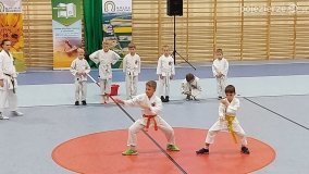 Senioralia w gminie Gniezno - zdjęcie 5