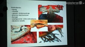 Historyczne wydarzenie w Zdziechowie! Sztandar powrócił do źródła! - zdjęcie 21