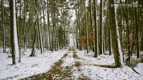 I Rajd Pieszy Śladami Świadków Historii - zdjęcie 8