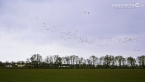 I Rajd Pieszy Śladami Świadków Historii - zdjęcie 19