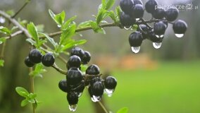 Fundacja Historyczna powitała wiosnę! - zdjęcie 60