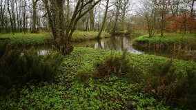 Fundacja Historyczna powitała wiosnę! - zdjęcie 59