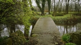 Fundacja Historyczna powitała wiosnę! - zdjęcie 58