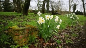 Fundacja Historyczna powitała wiosnę! - zdjęcie 55