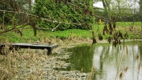 Fundacja Historyczna powitała wiosnę! - zdjęcie 54