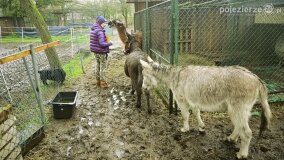 Fundacja Historyczna powitała wiosnę! - zdjęcie 48