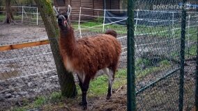 Fundacja Historyczna powitała wiosnę! - zdjęcie 46