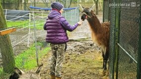 Fundacja Historyczna powitała wiosnę! - zdjęcie 45