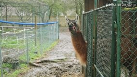 Fundacja Historyczna powitała wiosnę! - zdjęcie 44