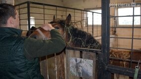 Fundacja Historyczna powitała wiosnę! - zdjęcie 42